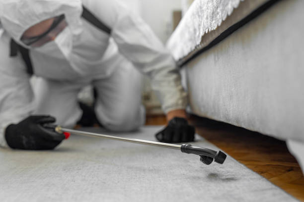 Professional Ant Control technician working in Ogden Dunes, IN